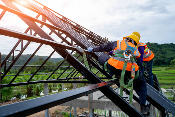 Best Roof Gutter Cleaning  in Sneedville, TN